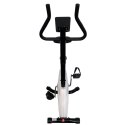 Rower treningowy magnetyczny B60 Eb fit