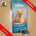 PRÓBKA Divinus Complete 60g