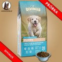 PRÓBKA Divinus Puppy 60g