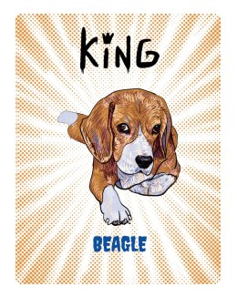 TABLICZKA KING BEAGLE YOUNG - 20x28 cm