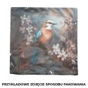 KOT FILEMON Poszewka dekoracyjna VELVET, 40x40cm, kolor 001 P00146/POP/001/040040/1