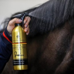 Odżywka do grzywy i ogona dla konia złota 500 ml