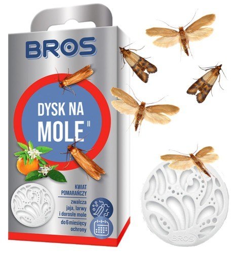 BROS - dysk na mole kwiat pomarańczy - 1 szt.