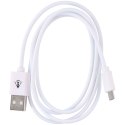 ŁADOWARKA SMOCHODOWA 2 USB i KABEL MICRO USB 2,1A DUNLOP