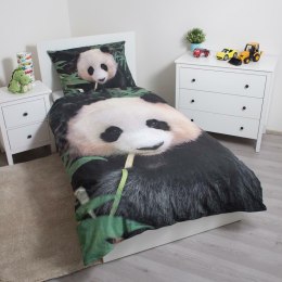 Pościel bawełniana 140x200 Miś Panda pandy liście 6435 poszewka 70x90 bear